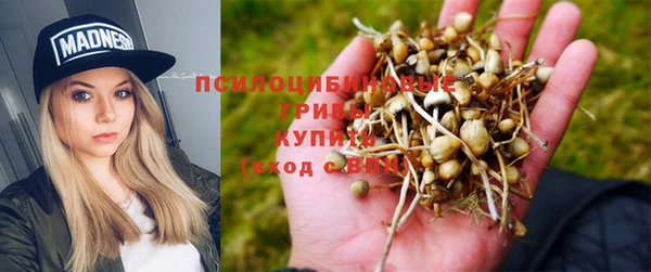 метадон Армянск